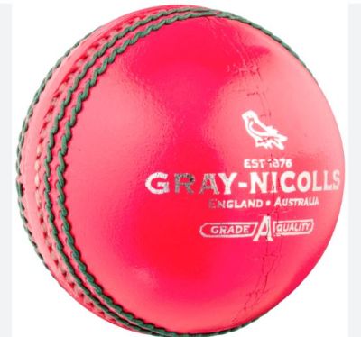 Gray Nicholls Crown 2 Star 156g Ball