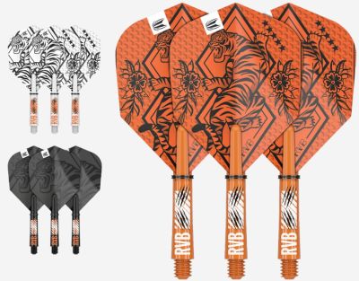 Raymond van Barneveld Ink Bundle