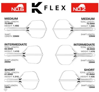 Raymond van Barneveld K-Flex No.2