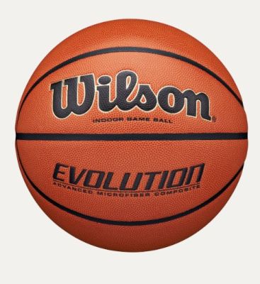 Wilson Evolution Basketball