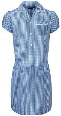 Zeco A-Line Sky Blue Gingham Summer Dress