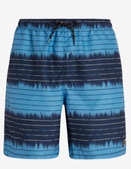Protest Auckley Beachshort