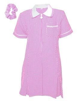 Zeco A-Line Pink Gingham Summer Dress