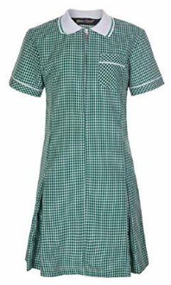 Zeco A-Line Gingham Green Summer Dress