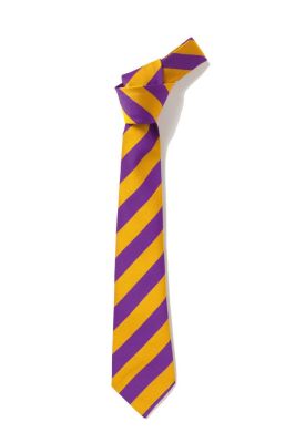 Millbrook School Tie