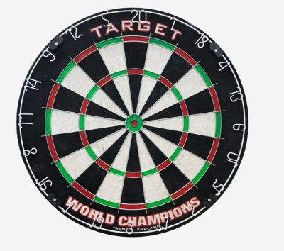 Target World Champion Dart board