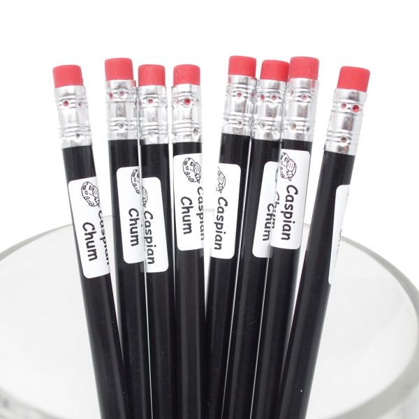 Stick and Wash pen