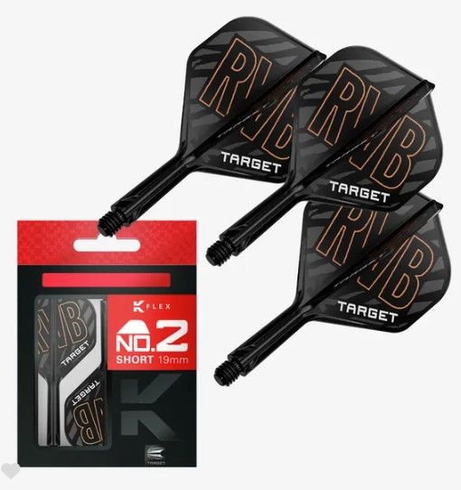 Raymond van Barneveld K-Flex No.2
