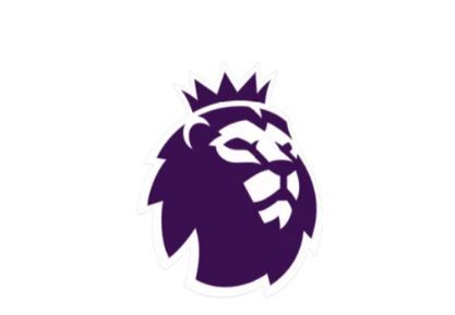Premier League Sleeve Badges
