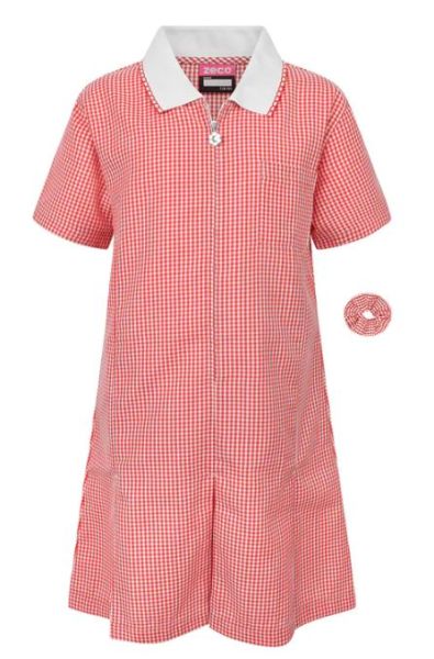 Zeco A-Line Red Gingham School Summer Dress by Zeco