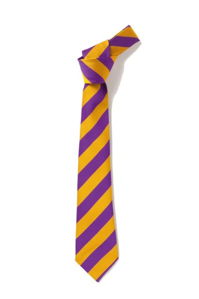 Millbrook School Tie