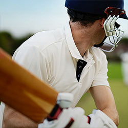 Cricket Cricket